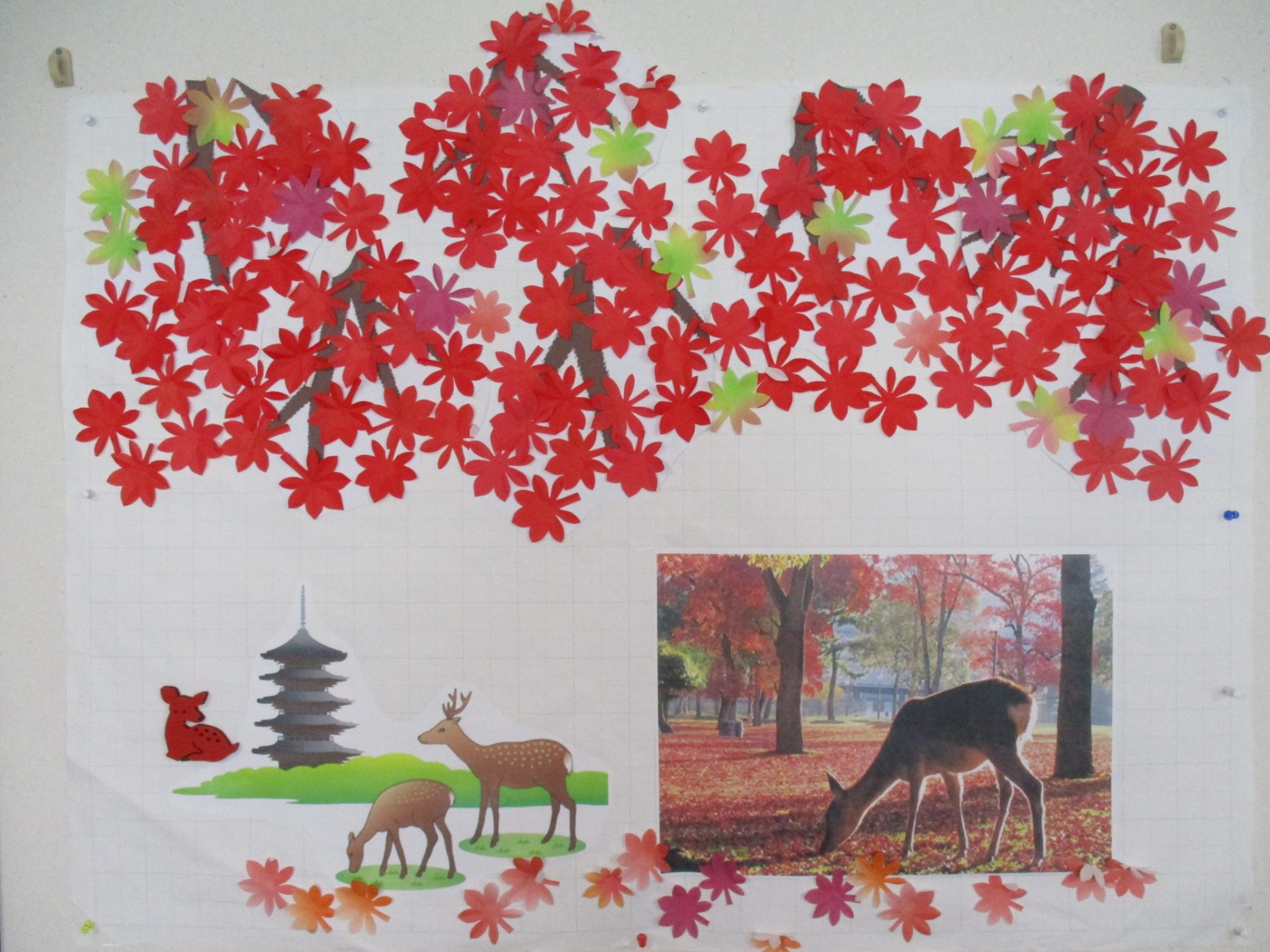 洋光台　初秋の訪れと共に元気に体操ｗｗｗ